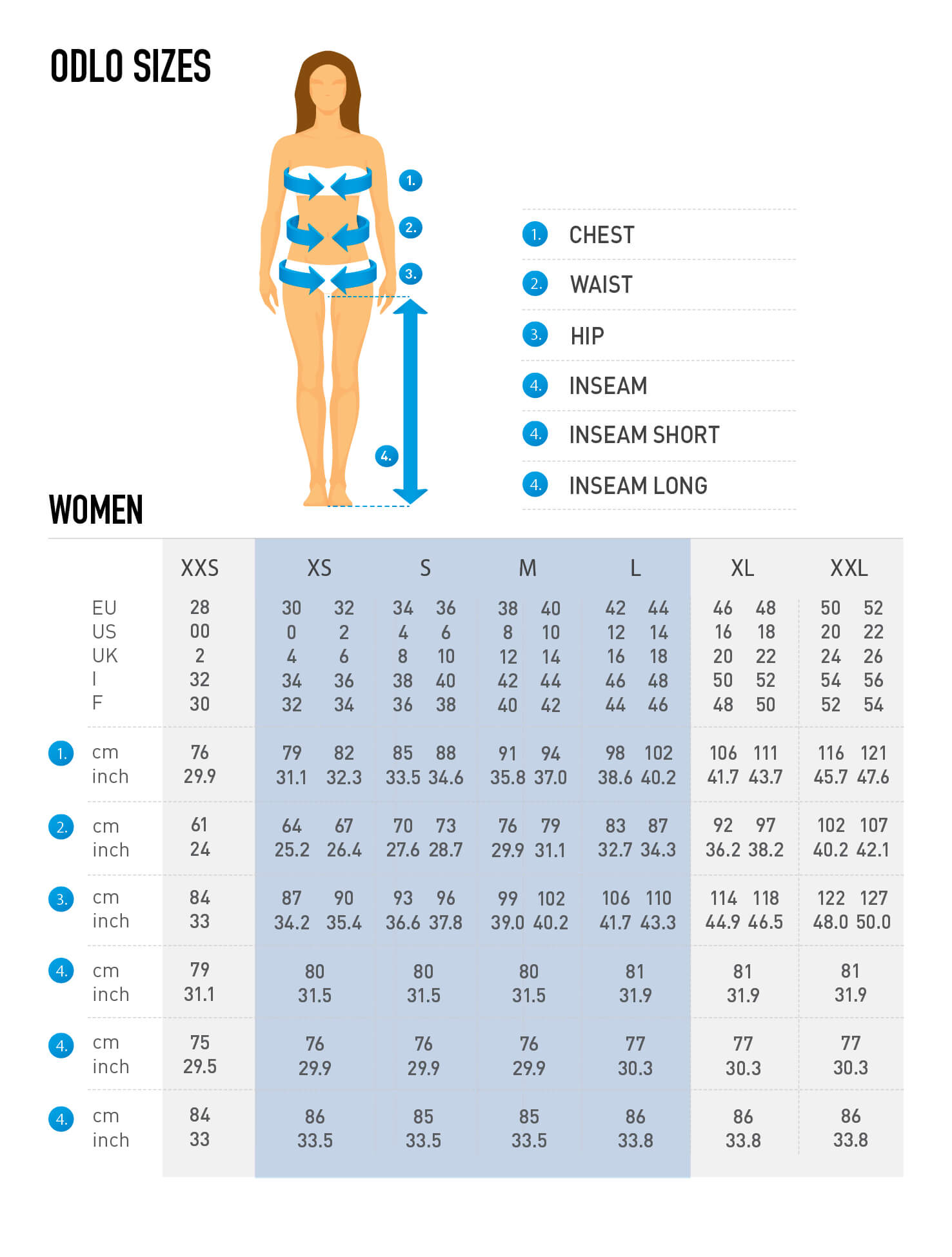 Abdomen Size Chart